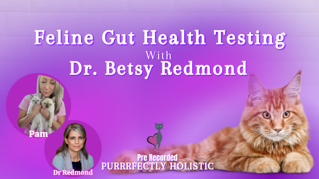 feline gut health testing